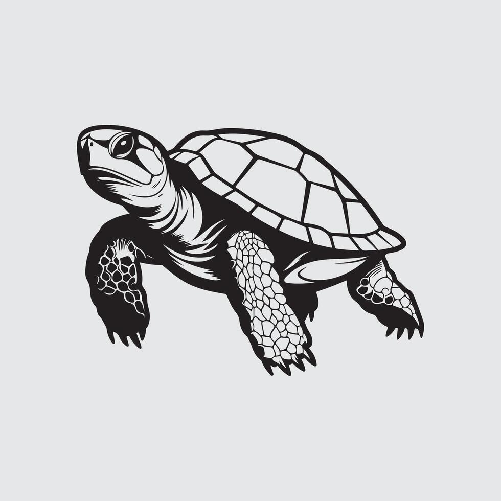 schildpad vector kunst, pictogrammen, en grafiek