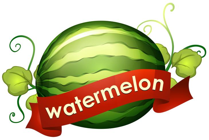 Watermeloen met rode vlag vector