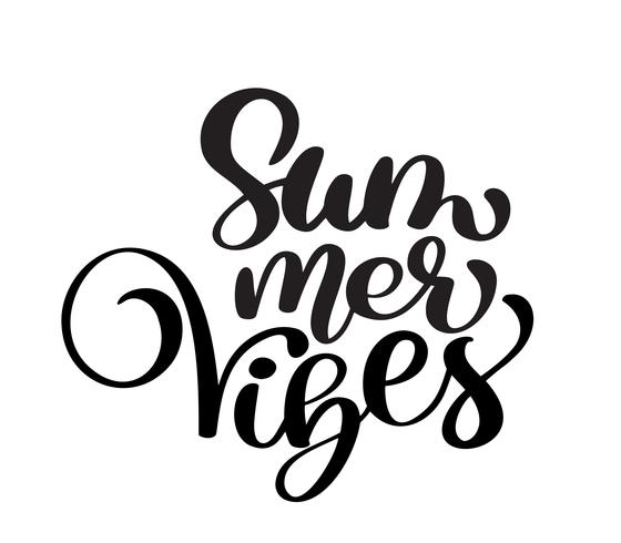 handschrift Summer vibes vector