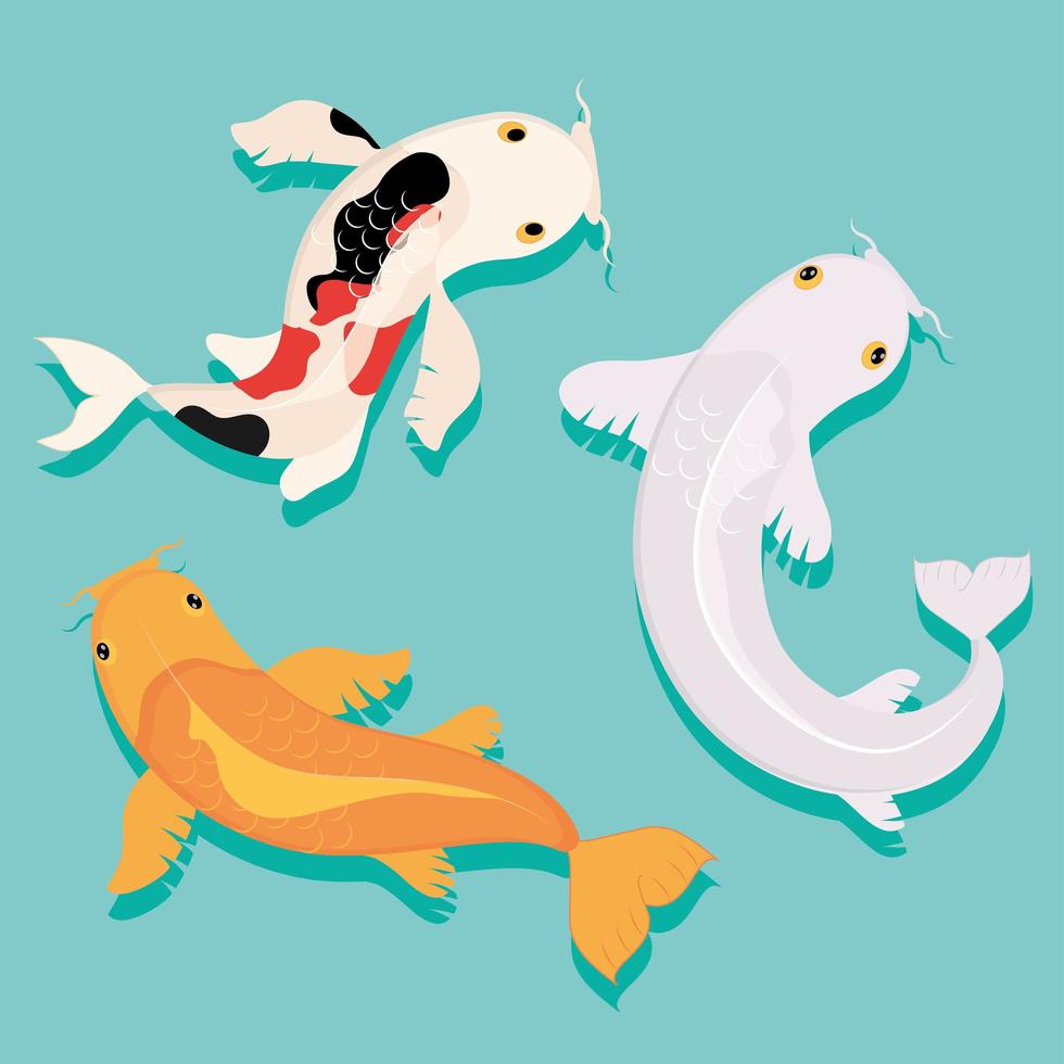 exotische koi vissen vector