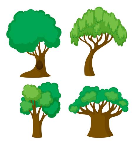 Vier verschillende vormen van bomen vector