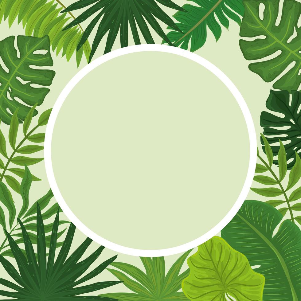 tropische monstera-badge vector