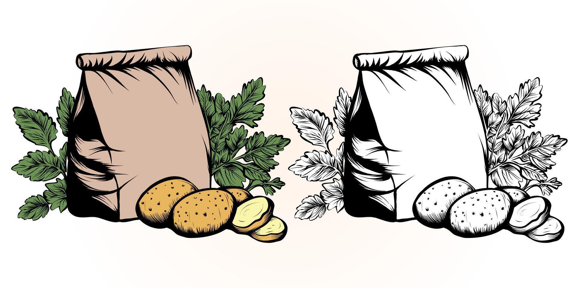 hand- getrokken schetsen stijl illustratie van rijp aardappelen in papier tas. gravure aardappelen zak, geheel en plakjes, en aardappelen bladeren. boerderij vers biologisch producten. vector illustratie.