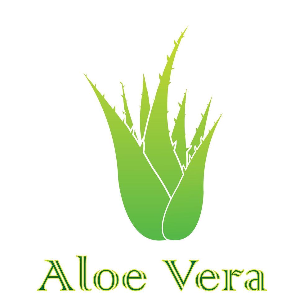 aloë vera icoon logo vector ontwerp sjabloon