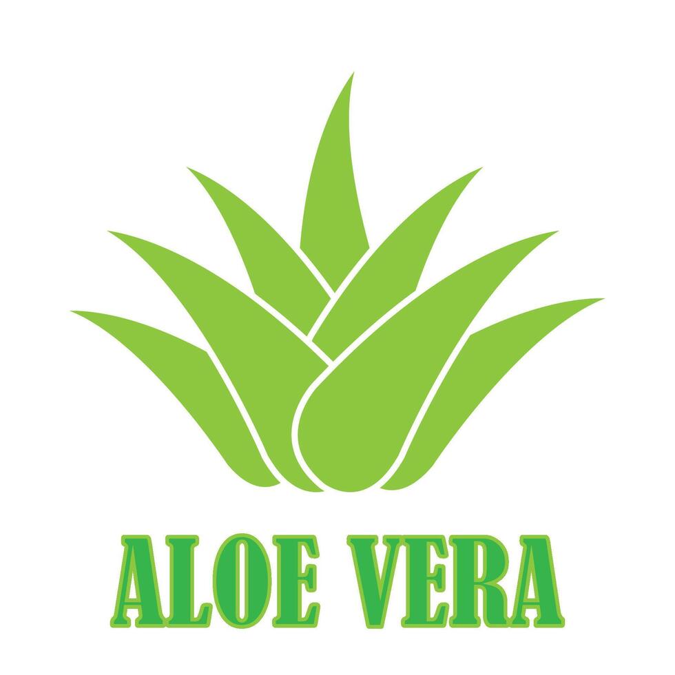 aloë vera icoon logo vector ontwerp sjabloon