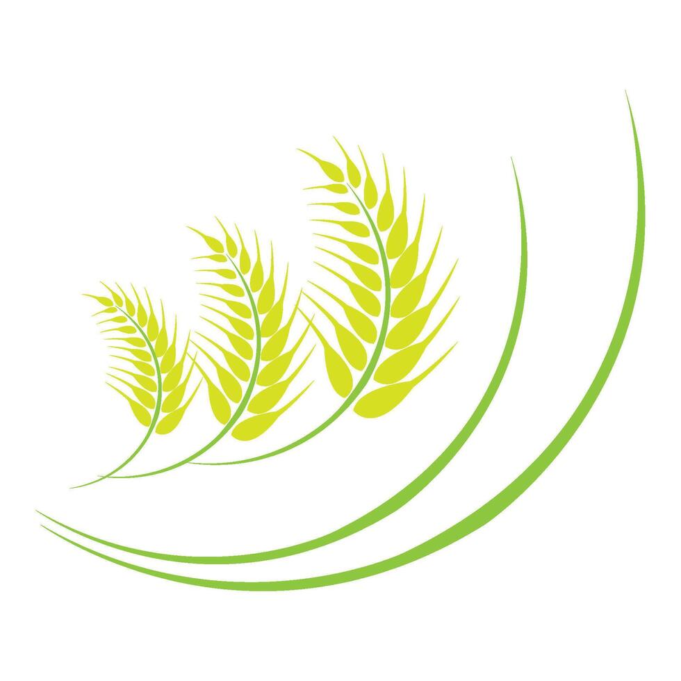 rijstveld icoon logo vector ontwerp sjabloon