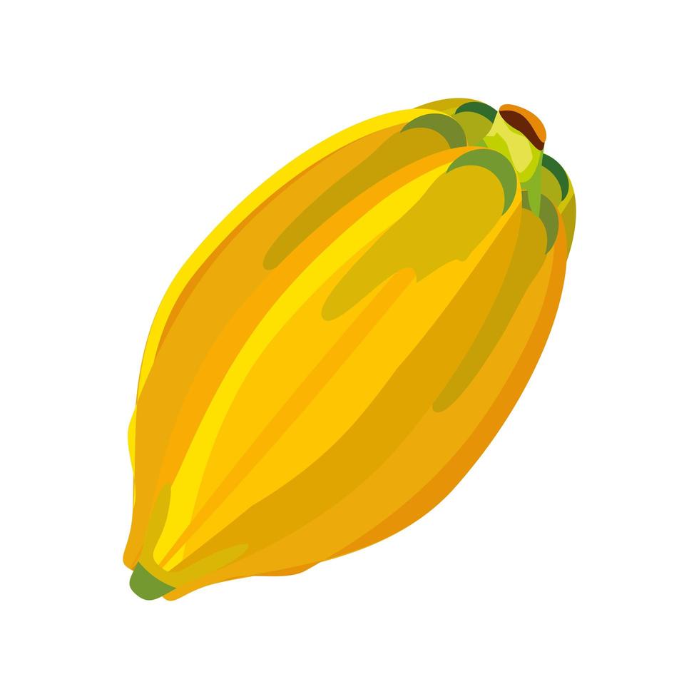 fruit verse papaja vector