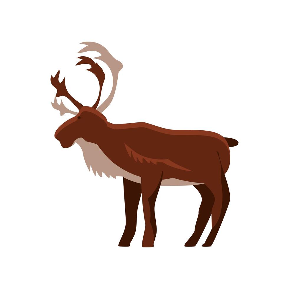 eland dieren cartoon vector