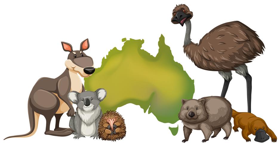 Wilde dieren in Australië vector