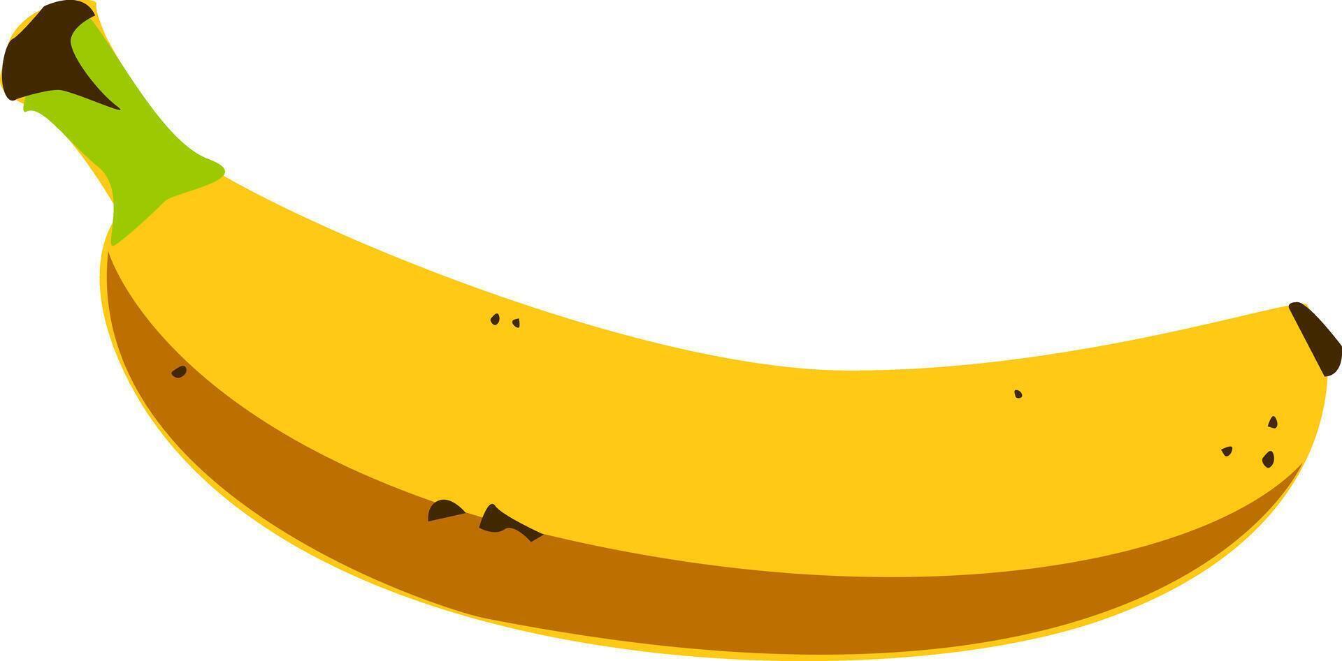 banaan elegantie - een verbijsterend beeld presentatie van de gemakkelijk schoonheid en smakelijk verleiden van een enkelvoud banaan tegen een schoon achtergrond. banaan vector illustratie.