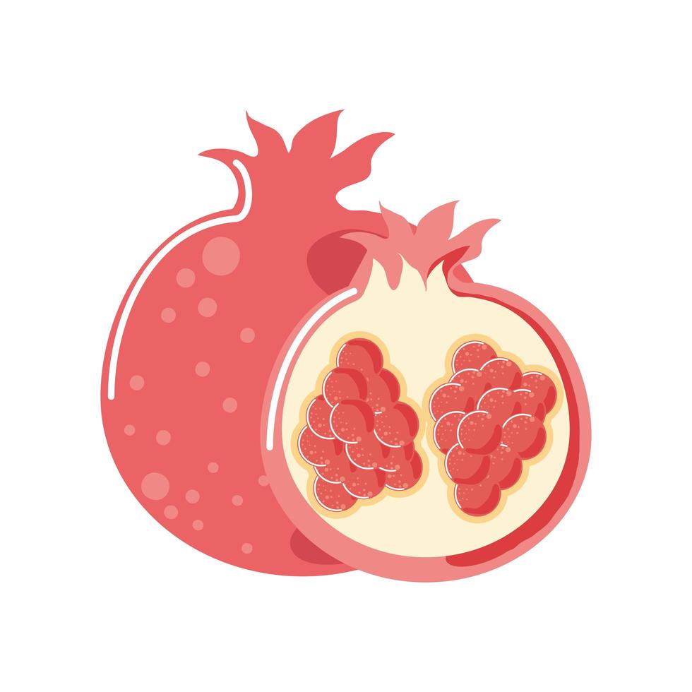 granaatappel vers fruit pictogram geïsoleerde stijl vector