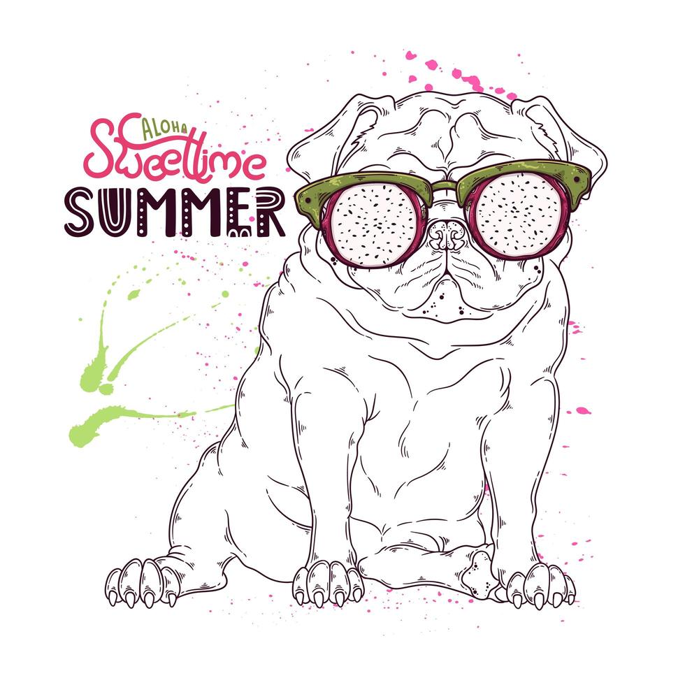 hand getekend portret van de pug dog met fruitglazen vector. vector