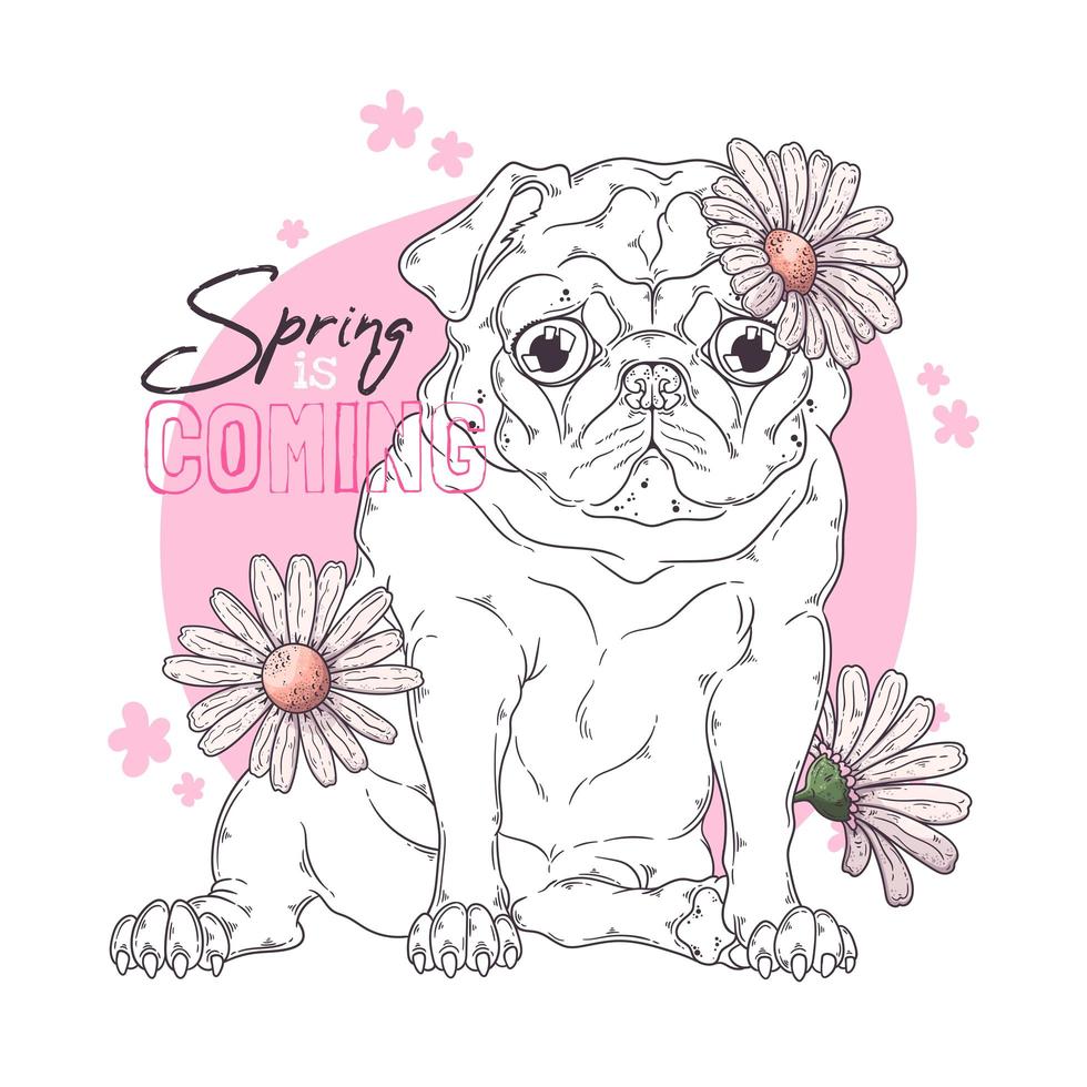 hand getekende illustratie van de pug hond met bloemen vector. vector