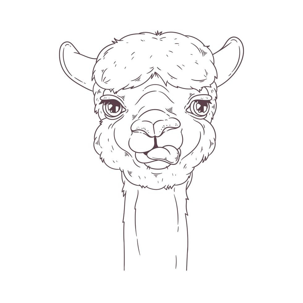 hand getekend portret van schattige alpaca vector. vector