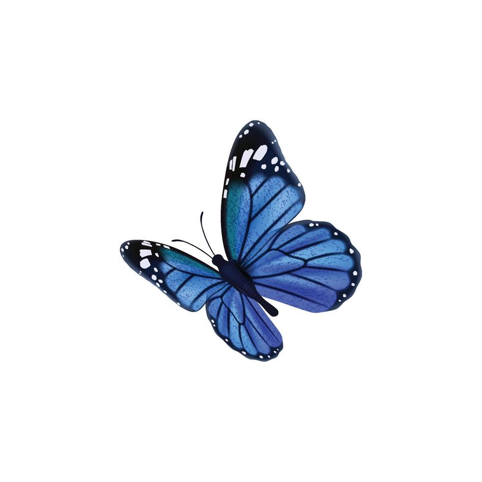 gekleurde vlinders vliegen mooie insecten vlinder met versierde vleugels illustratie insect vlinder lente patroon realistisch vleugels blauw gekleurd vector