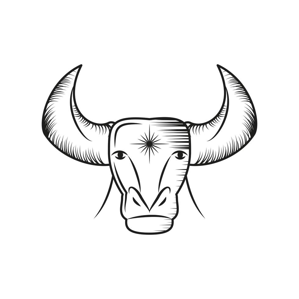 stier dierenriem astrologie vector