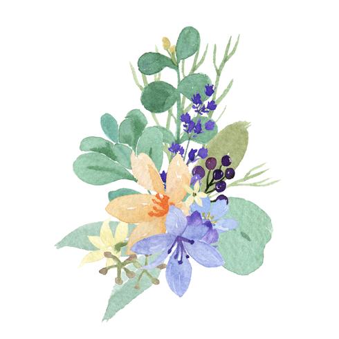 Aquarel boeketten florals handgeschilderde weelderige bloemen llustration vintage stijl aquarelle geïsoleerd op een witte achtergrond. Ontwerp decor voor kaart, bewaar de datum, kaarten van de huwelijksuitnodiging, affiche, banner vector