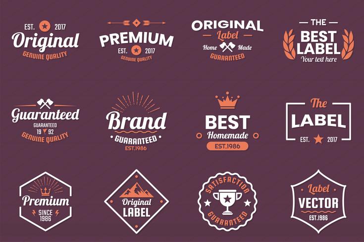 Vintage Retro Vector Logo voor banner