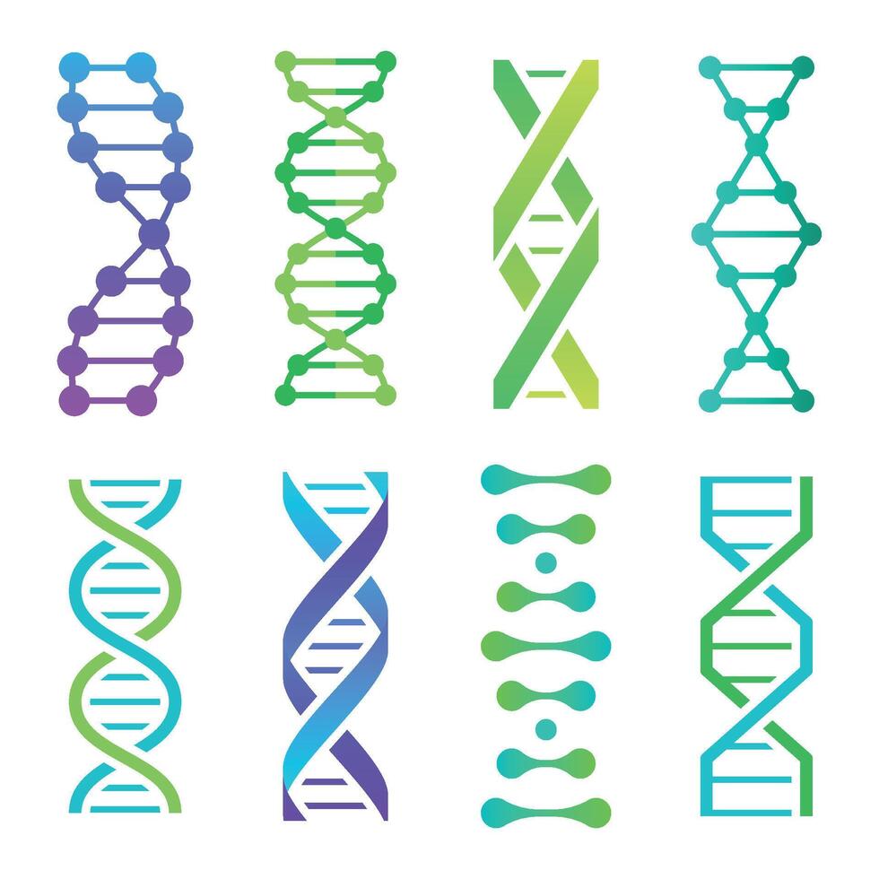 kleurrijk dna pictogrammen. spiraal molecuul structuur voor wetenschappelijk Onderzoek. menselijk genetisch code met informatie vector