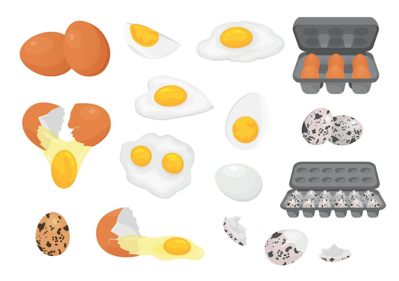 tekenfilm boerderij vers kip en kwartel eieren in pakketjes. gebroken, rauw, gebakken en moeilijk gekookt ei voor de helft met dooier. eieren voor ontbijt vector reeks
