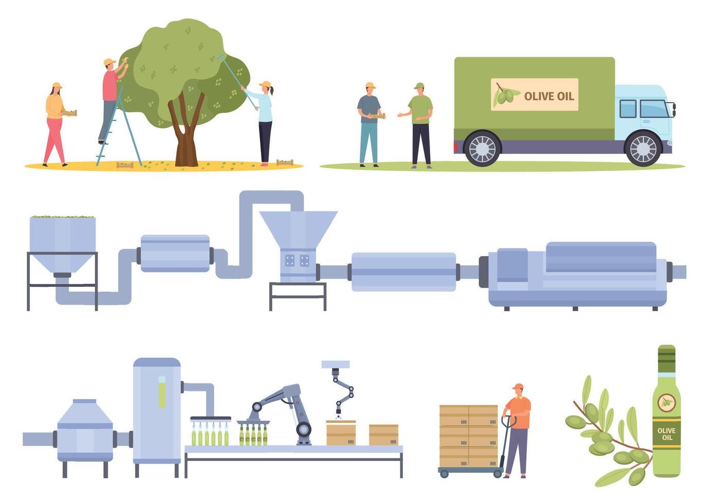 olijf- oogsten en fabriek voedsel olie productie werkwijze. vlak landbouw groente oliën vervaardiging, extractie en bottelen vector reeks