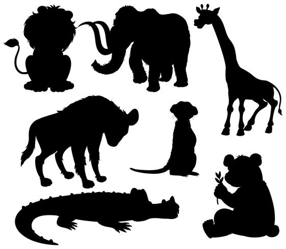 Set van silhouet wilde dieren vector