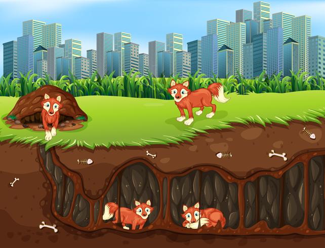 Een Fox Family Living Underground vector