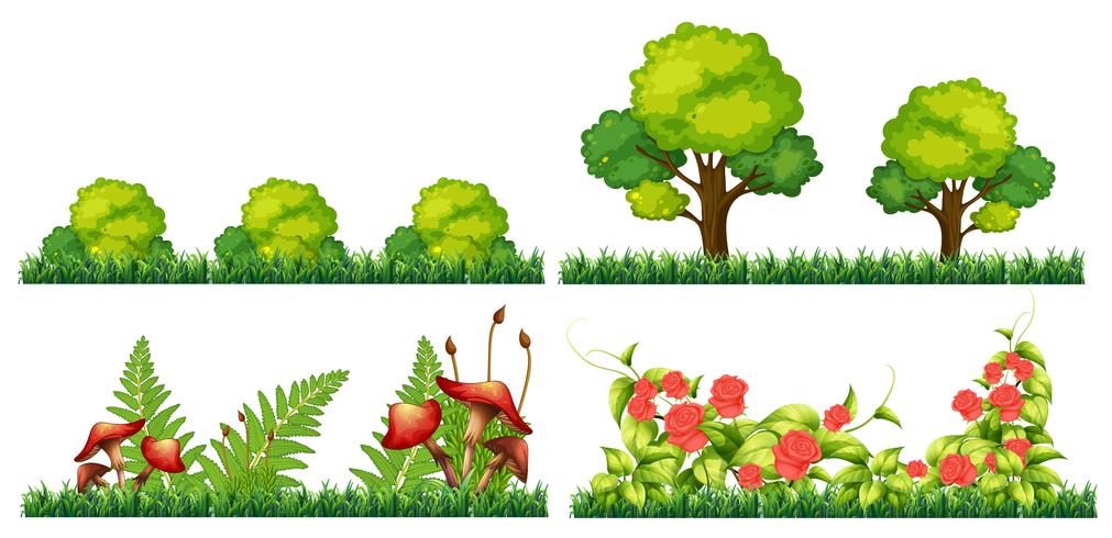 Set van decoratie plant vector