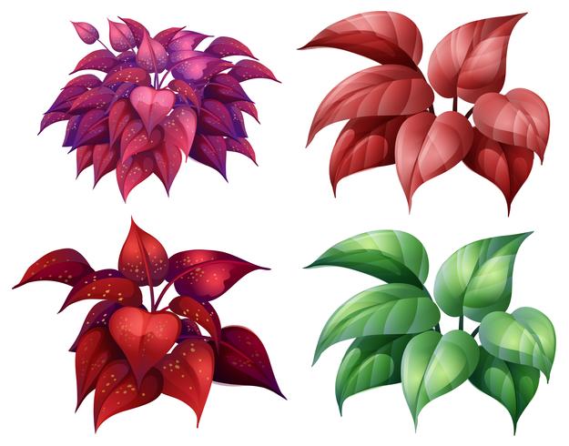 Een reeks van kleurrijke planten vector