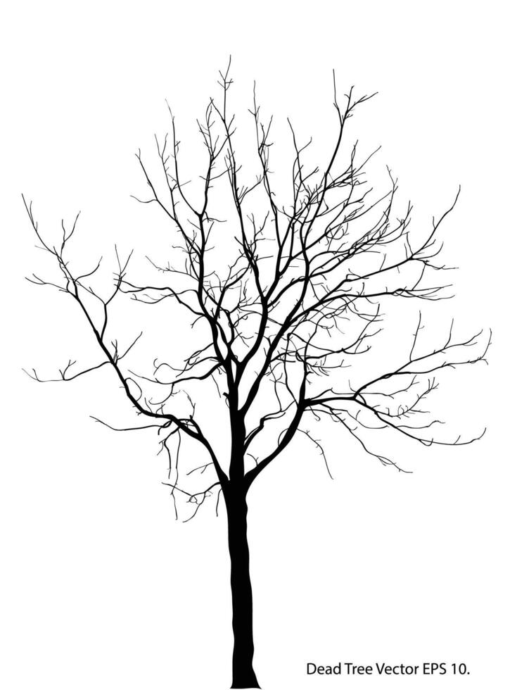 dood boom zonder bladeren vector illustratie geschetst, eps 10.