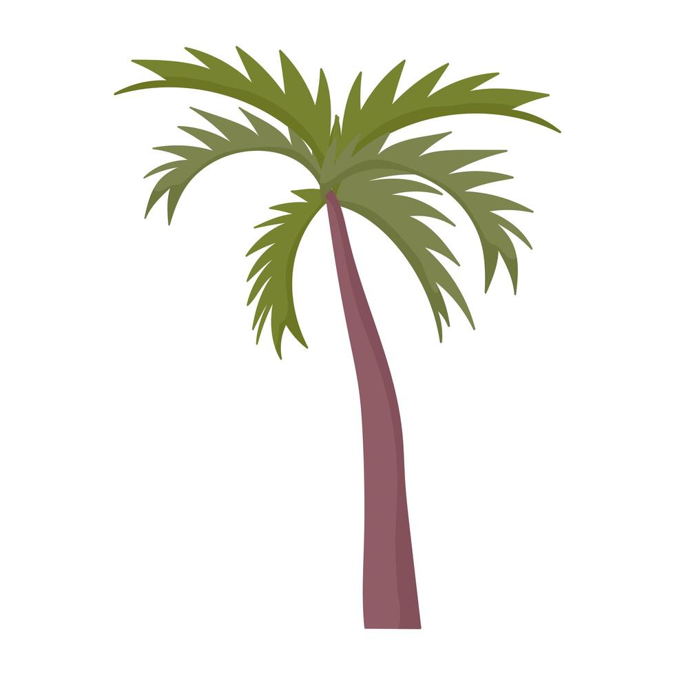 palmboom gebladerte tropische exotische plant pictogram cartoon vector