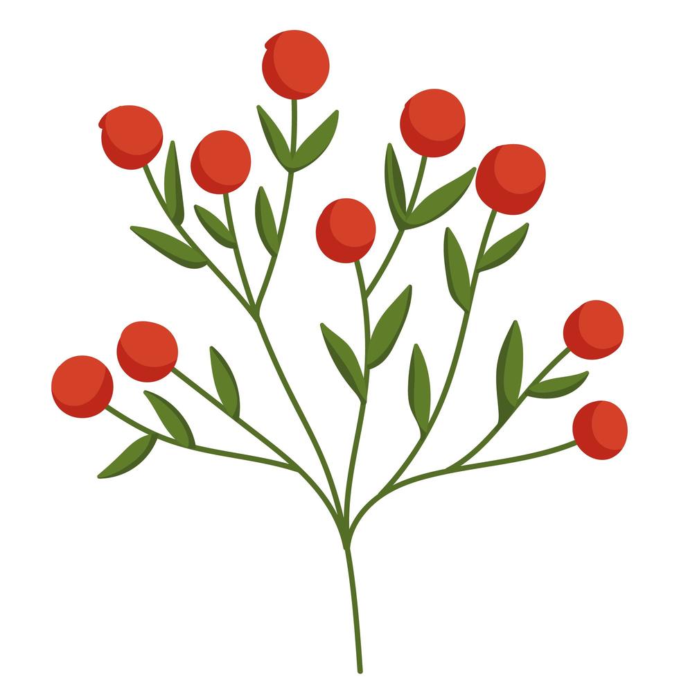 tak fruit bladeren natuur cartoon pictogram geïsoleerde stijl vector