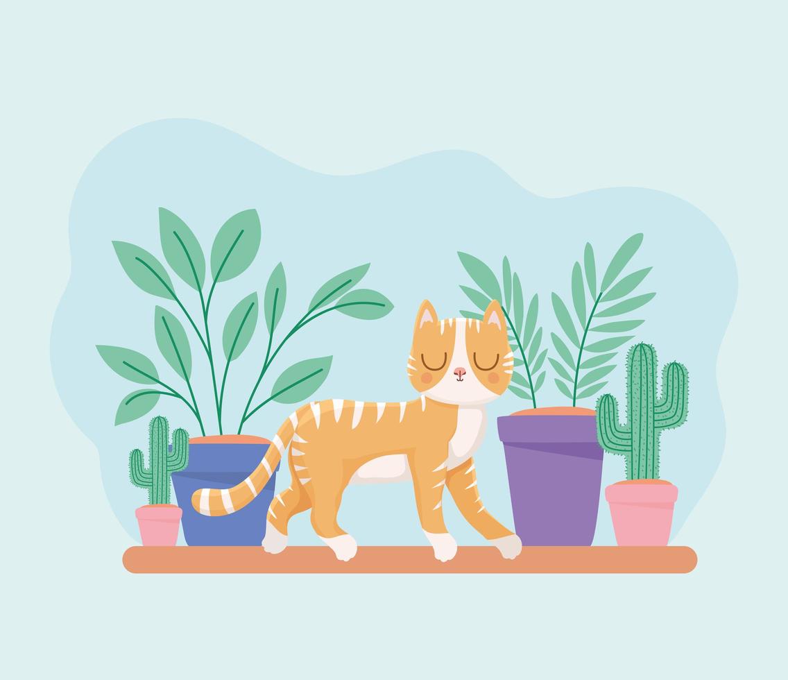 kitten en planten vector