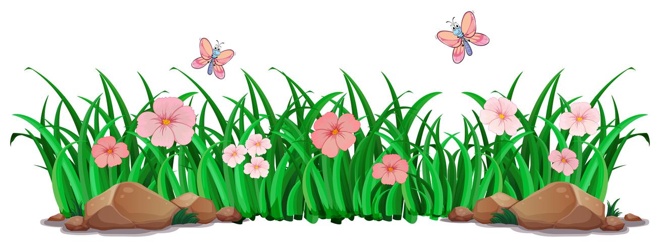 Bloem en gras voor decor vector