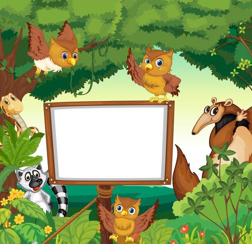 Wilde dieren en wit bord in de jungle vector