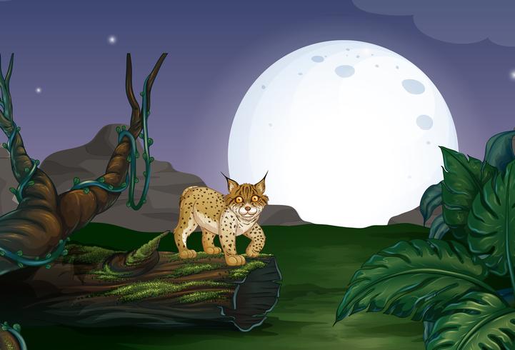 Lynx en bos vector