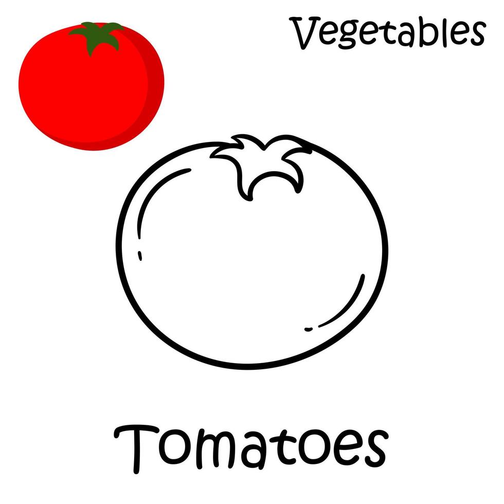 handgetekende tomaten op een witte achtergrond vector