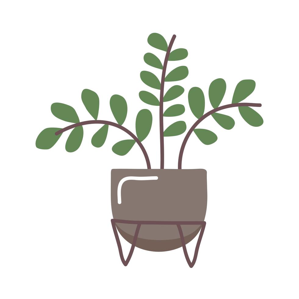 plant in zwarte pot vector