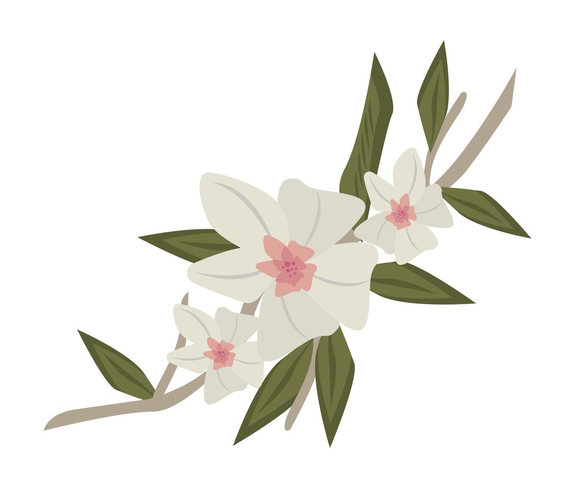 witte bloemen tuin vector