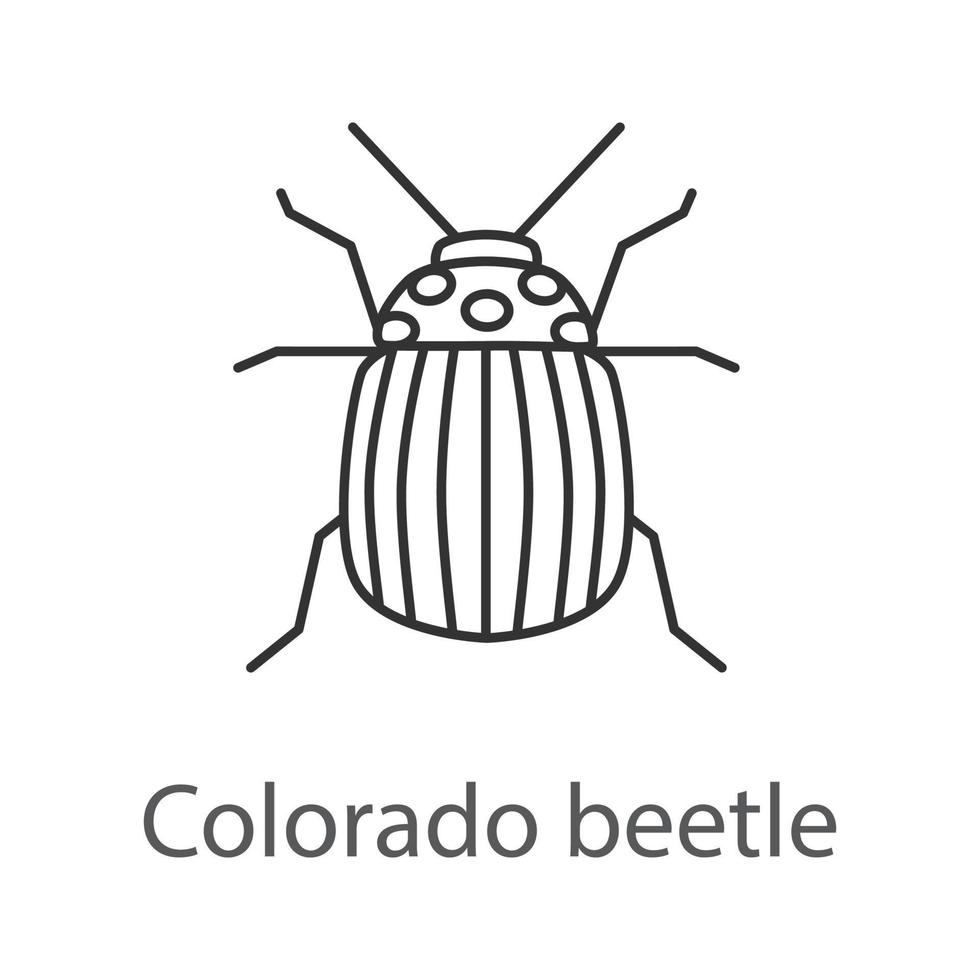 colorado kever lineaire pictogram. aardappel bug. dunne lijn illustratie. contour symbool. vector geïsoleerde overzichtstekening