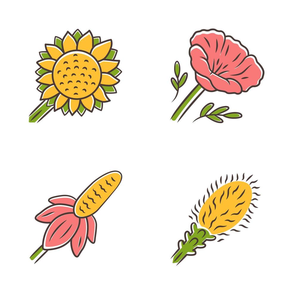 wilde bloemen gekleurde pictogrammen instellen. helianthus, californische klaproos, mexicaanse hoed, liatris. bloeiende wilde bloemen, onkruid. lente bloesem. veld, weide bloeiende planten. geïsoleerde vectorillustraties vector