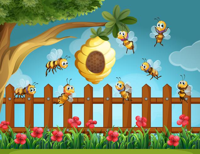 Bijen vliegen rond de bijenkorf in de tuin vector