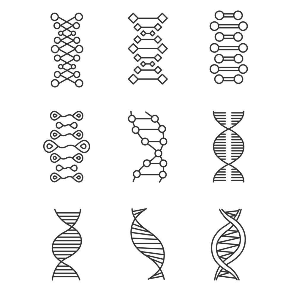 dna dubbele helix lineaire pictogrammen instellen. deoxyribonucleïnezuur, nucleïnezuur. moleculaire biologie. genetische code. genetica. dunne lijn contour symbolen. geïsoleerde vectoroverzichtsillustraties. bewerkbare streek vector