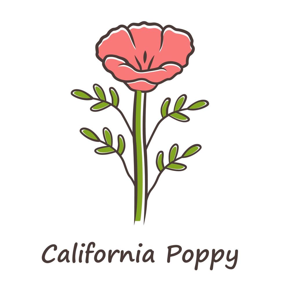 Californië papaver rode kleur pictogram. papaver rhoeas met naam inscriptie. maïsroos bloeiende wilde bloemen. kruidachtige planten. veld klaproos. zomer bloesem. geïsoleerde vectorillustratie vector