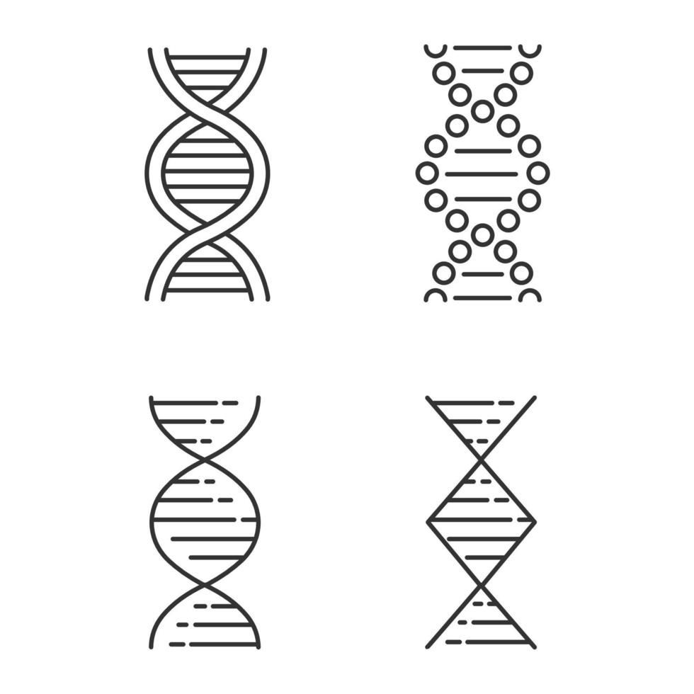 dna spiraal strengen lineaire pictogrammen instellen. deoxyribonucleic, nucleïnezuur helix. moleculaire biologie. genetische code. genetica. dunne lijn contour symbolen. geïsoleerde vectoroverzichtsillustraties. bewerkbare streek vector