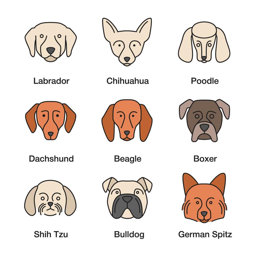 hondenrassen gekleurde pictogrammen set vector