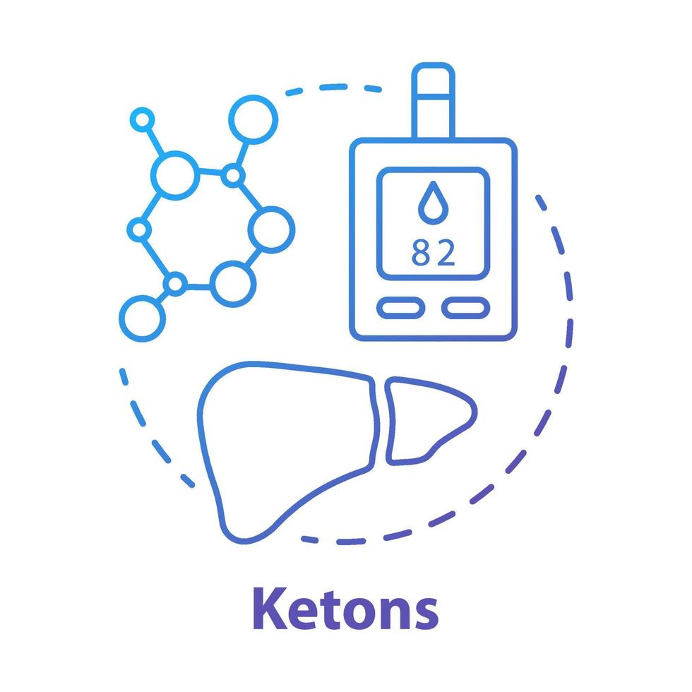 ketonen blauwe kleurovergang concept icoon. keto dieet idee dunne lijn illustratie. ketonlichamen, moleculen. lever, stofwisseling. ketoacidose, ketose, gezondheidszorg. vector geïsoleerde overzichtstekening