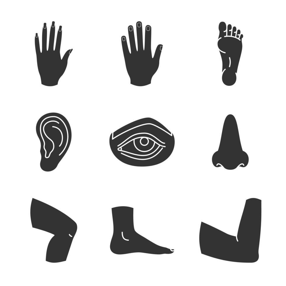 menselijke lichaamsdelen glyph pictogrammen instellen. silhouet symbolen. mannelijke en vrouwelijke handen, neus, oog, voeten, oor, ellebooggewricht, knie. vector geïsoleerde illustratie