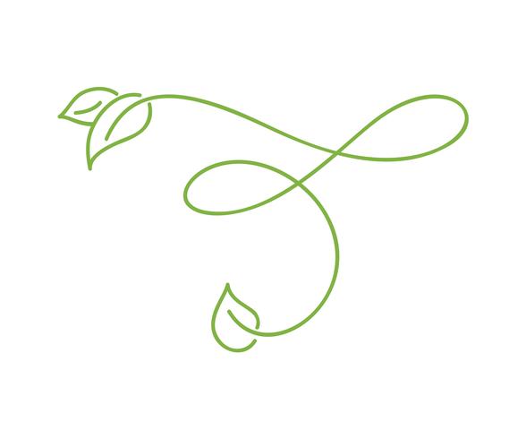 Groene monoline kalligrafie logo van groene blad ecologie vectorelement. Divider of hoek ontwerp voor bruiloft en Valentijnsdag, verjaardag wenskaart en web, eco pictogram vector