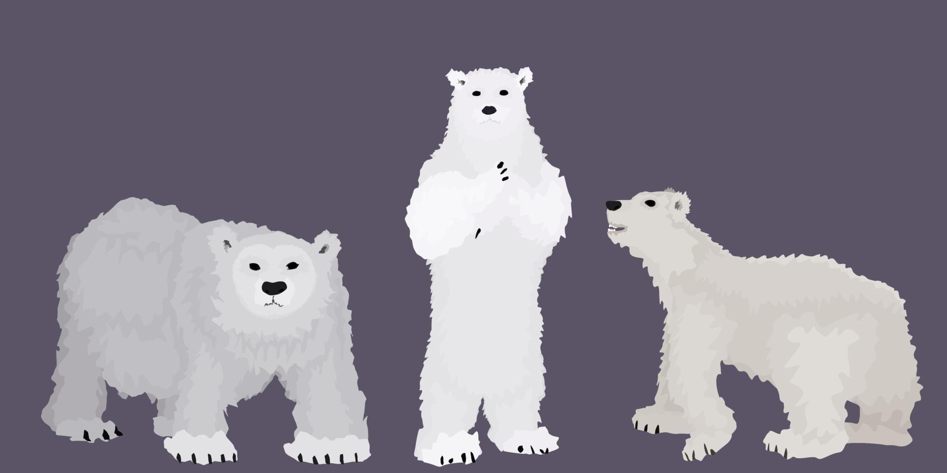 witte beren uit de poolcirkel. cartoon stijl vector